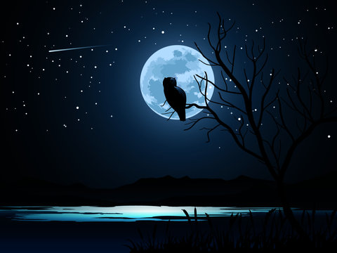 Owl On The Moon