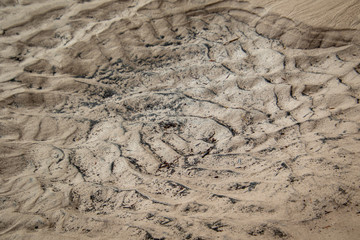 ripples in the sand