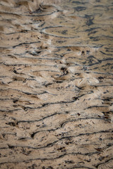 ripples in the sand