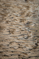 ripples in the sand
