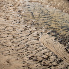 ripples in the sand