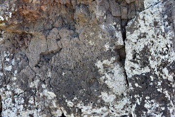 Close up image of volcanic rock on the island of Bora Bora in French Polynesia.