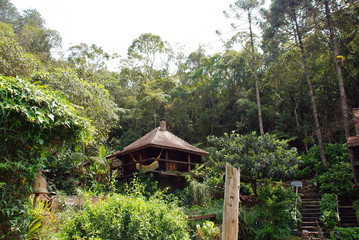 Fototapeta na wymiar a lovely cottage Into the jungle