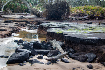 black rocks on the beach