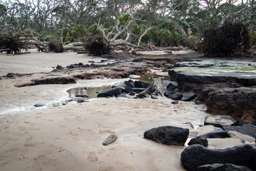 black rocks on the beach
