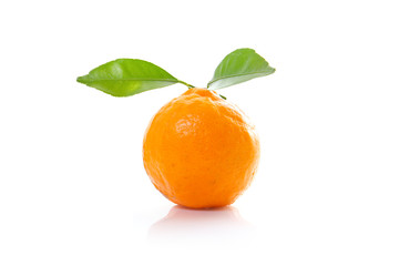 Citrus poonensis. Fresh fruits of Chinese  Honey Orange