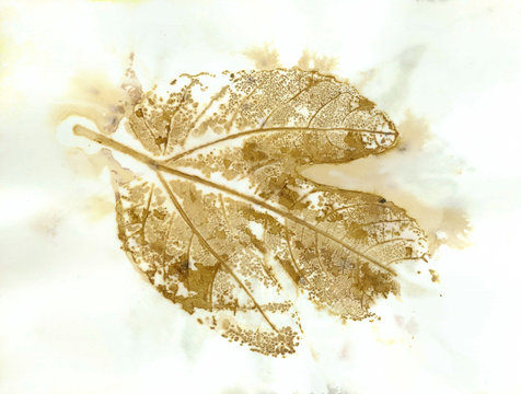 "Adam" - Eco Print from Nature - Natural Colors from Plants, Leaves & Flowers. This is an original image created by pressing & steaming plant materials onto specific papers and substrates. 