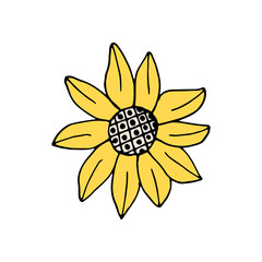 Hand drawn colorful sunflower isolated on a white background. Doodle, simple outline illustration. It can be used for decoration of textile, paper and other surfaces.