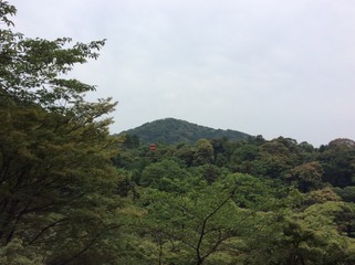 山