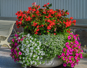 Urban flower pot with different blooming colorful summer flowers stands on the street in Naantali,...