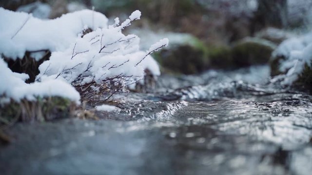 Closeup of stream in snowy forrest. Slow motion.