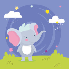 cute little elephant rain clouds stars cartoon