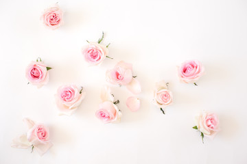 pink roses on a white background. View from above