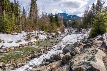 Fototapeta premium Beautiful Mountain River in Canada.