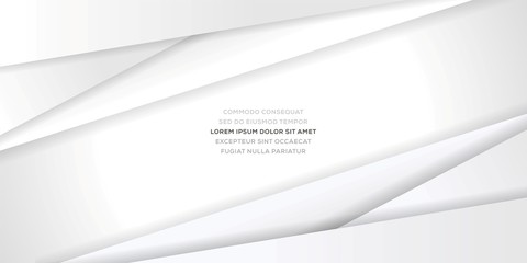 Vector Illustration of Abstract Elegant White Gray Background Template with Shiny Line Shape