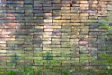 Surface of old brick wall spotted with moss. the vintage wall for abstract background.