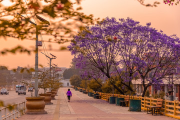Morning walk healthy lifestyle concept. Young woman in joggers walking on a pavement alongside a busy street in the morning.