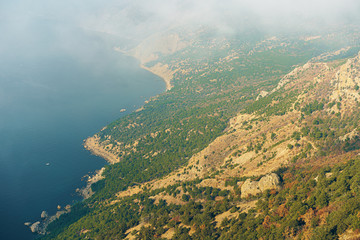 Fototapeta premium Beautiful mountain with forests in morning fog background