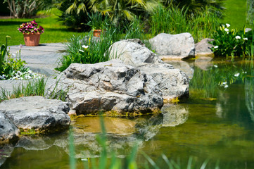 Fototapeta na wymiar Landscape design of a pond in the garden. Water plants for ponds.