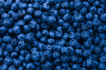 Fresh blueberry background. Texture blueberry berries close up.