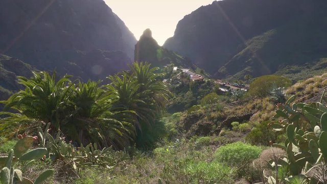 tropical mountains on Canary islands, touristic famous masca gorge in Tenerife, sunset with exotic plants in slow motion, natural landmark