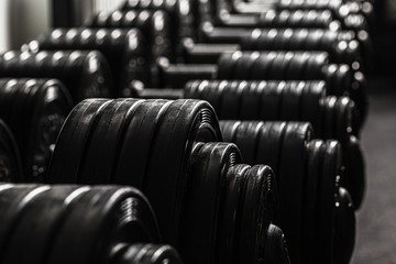 Naklejka na ściany i meble Sports equipment in gym. Dumbbells of different weight close up