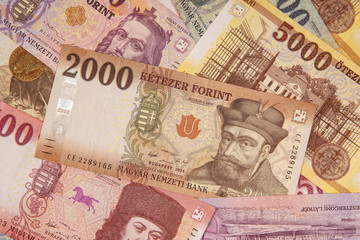 Stack of banknotes as background (Hungarian Forint) Europe Hungary