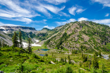Beautiful Mountain Artist Ridge Trail Park. Mount Baker, Washington, USA.