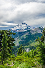 Beautiful Mountain Artist Ridge Trail Park. Mount Baker, Washington, USA.