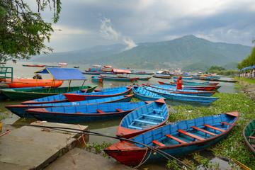 nepal