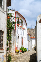 Fototapeta na wymiar Old streets of a Portuguese town with white houses and tiled roofs
