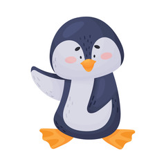 Arctic Penguin with Black and White Belly Isolated on White Background Vector Illustration