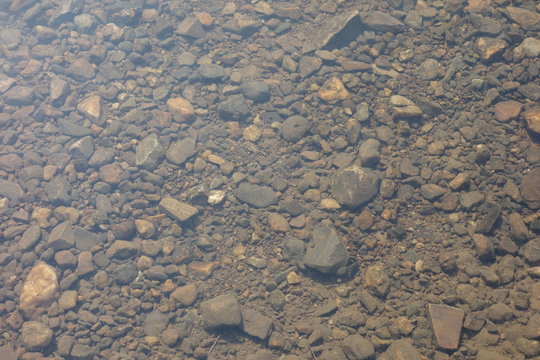 Stones,pebbles viewing through clean river water