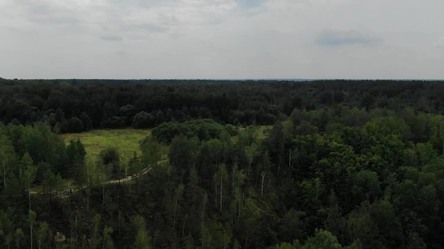 Aerial View of Vast Forest Ascending Up Revealing Horizon