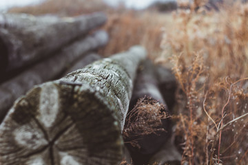 Pile of logs on the brown field macro