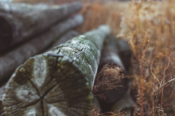 Pile of logs on the brown field macro
