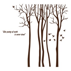 The beautiful tree with the quote
