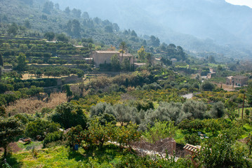 Fototapeta na wymiar Grüne Hänge mit spanischen Häusern bei Fornalutx, Mallorca