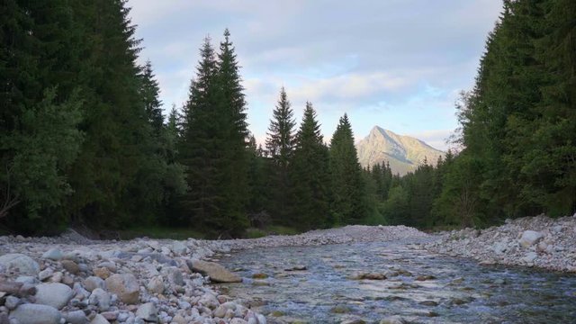 Shallow river Bela flowing slowly in forest, round stones on both sides, mount Krivan (Slovak symbol) with afternoon sky above, in distance