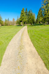 Fototapeta na wymiar Golf course with gorgeous path and fantastic forest view. 