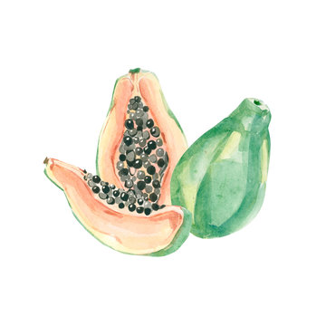 Watercolor summer exotic fruits papaya. Hand painted tropical illustartion for the template, stories hightlights design, greeting card, party card, sale banner.