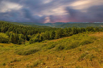 The road to Santiago as it passes through Navarra