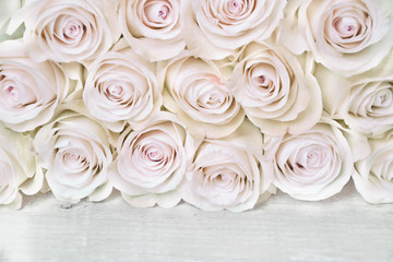 Pink roses pattern background in soft pastel colours