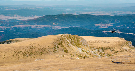 Panoramic view of the high mountain plateau, a black bird of prey flying above it, green mountain ridges in the background, Rila Mountain, Bulgaria.