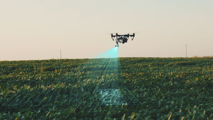 Flying Smart Agriculture Drone. Artificial Intelligence. Drone Scan Agriculture Farm. Agriculture Innovation. Farming Field Industry. Analyze the Field. Professional Vehicle Aircraft.