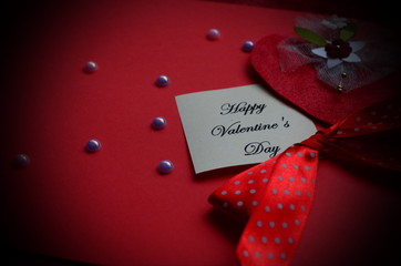 Happy Valentine's Day card with sign and peper hearts