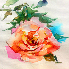 Abstract bright colored decorative background . Floral pattern handmade . Beautiful tender romantic spring single rose flower , made in the technique of watercolors from nature.