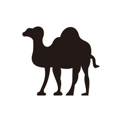 camel icon vector illustration sign