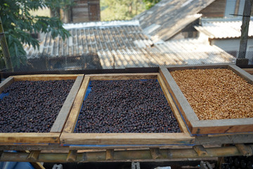 Close up of dried coffee beans in the wooden boxes