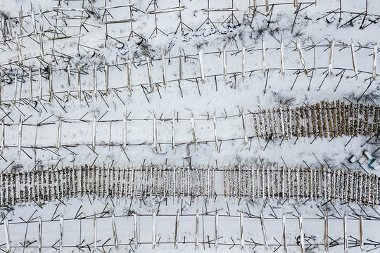View from above of cod fish hanging to dry, Svolvaer, Lofoten Island, Norway, Europe
